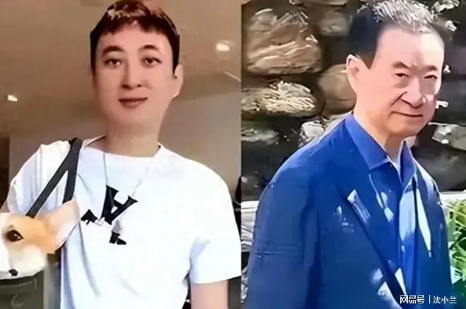 拔出萝卜带出泥！万达一年蒸发800亿后，王思聪再次遭到反噬